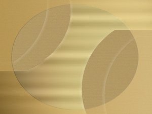 浏览器网页预获取关键文件优先下载